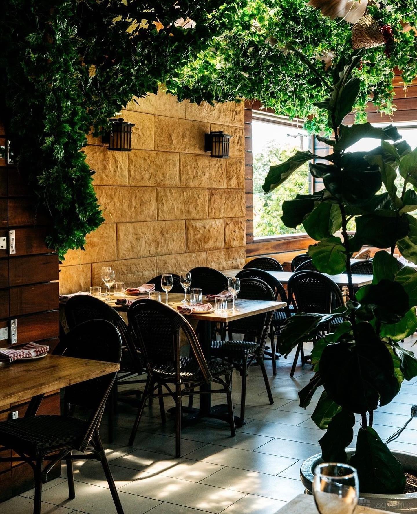 Terrace at Teta's Authentic Lebanese photo 11