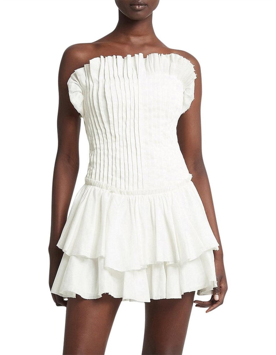 Aje Utopia Mini Dress photo 3