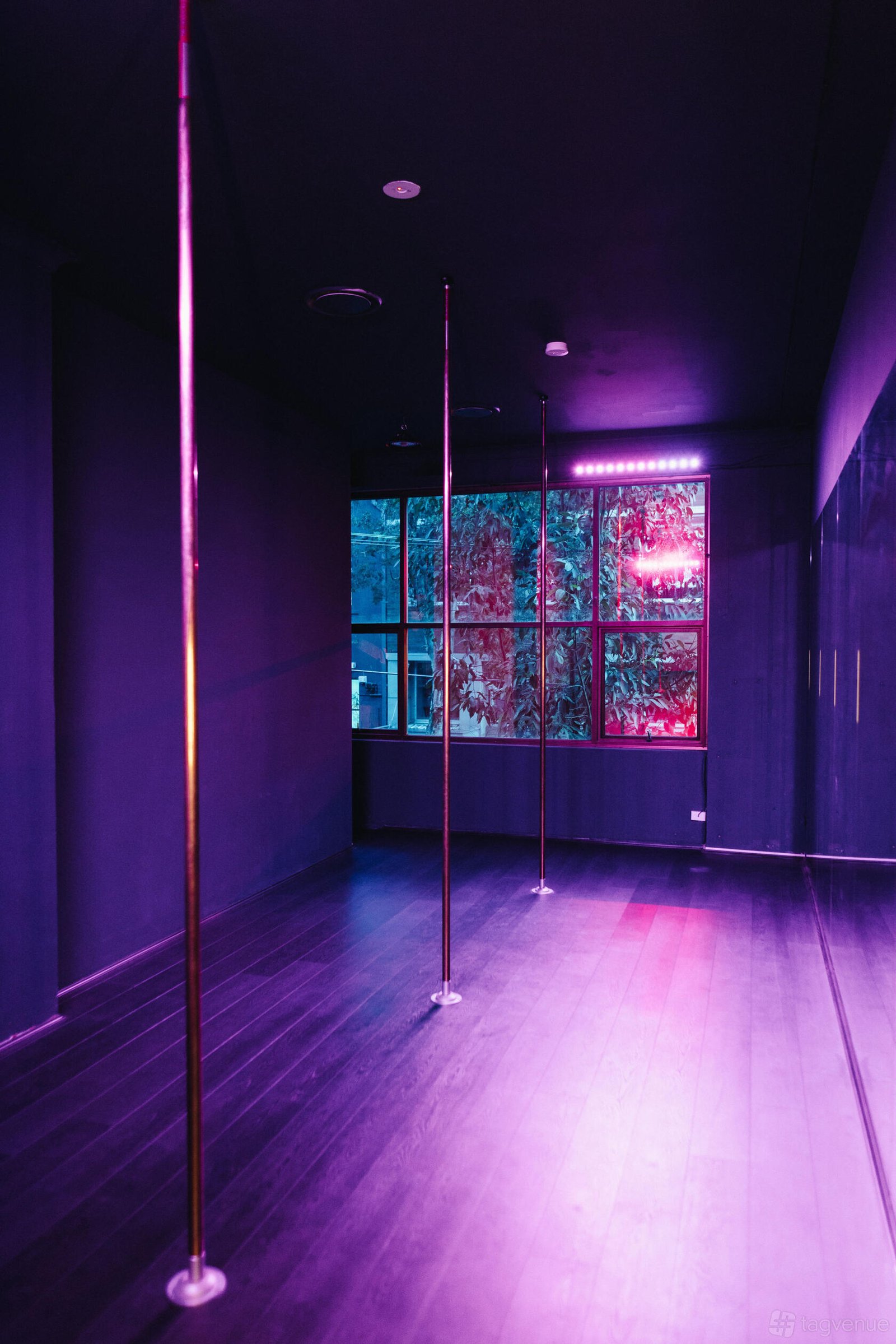 Private Pole Dancing Classes at Duality Pole Dancing Studio photo 5