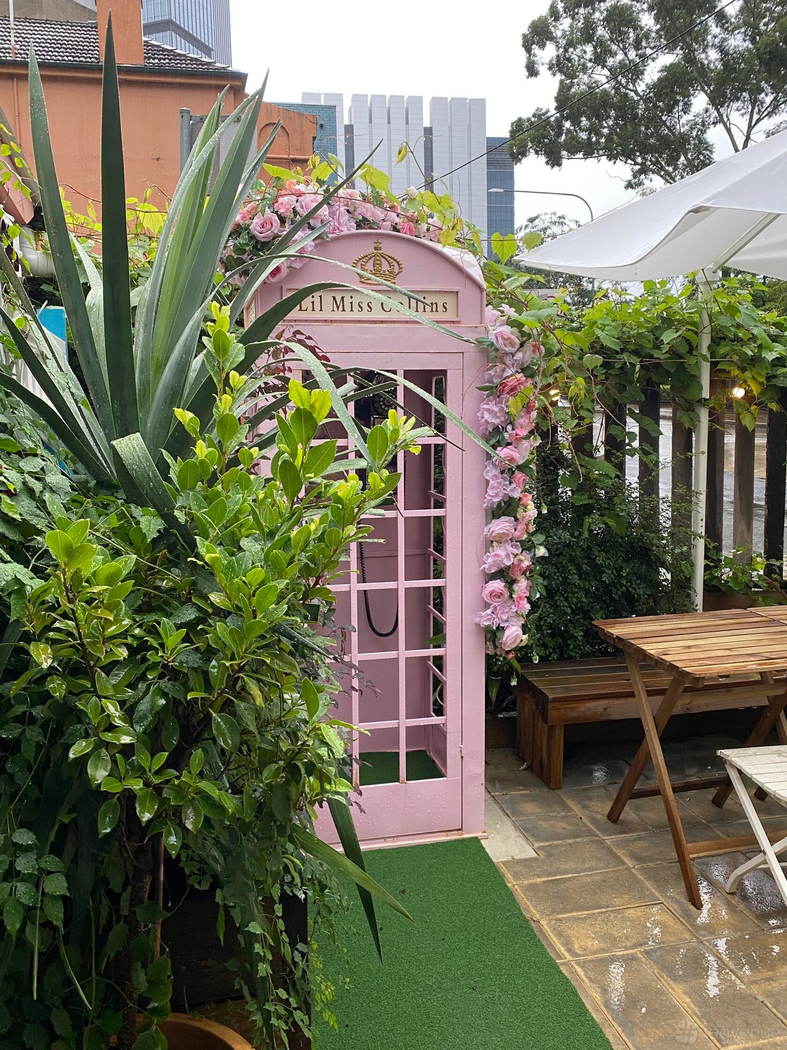 Courtyard at Lil Miss Collins Café Parramatta photo 4