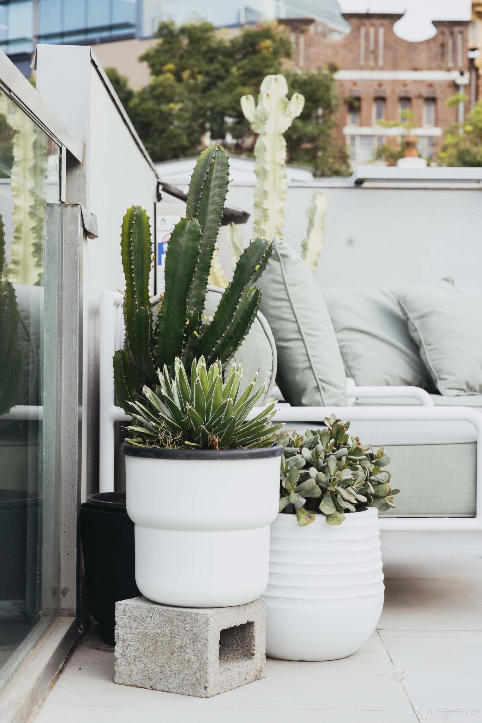 The Home Space at B.C. House photo 7