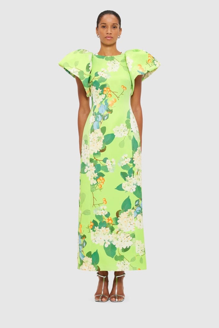 Leo Lin Lucinda Printed Maxi Dress - Hydrangea in Lime photo 4