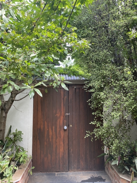 The Botanist Garden photo 6
