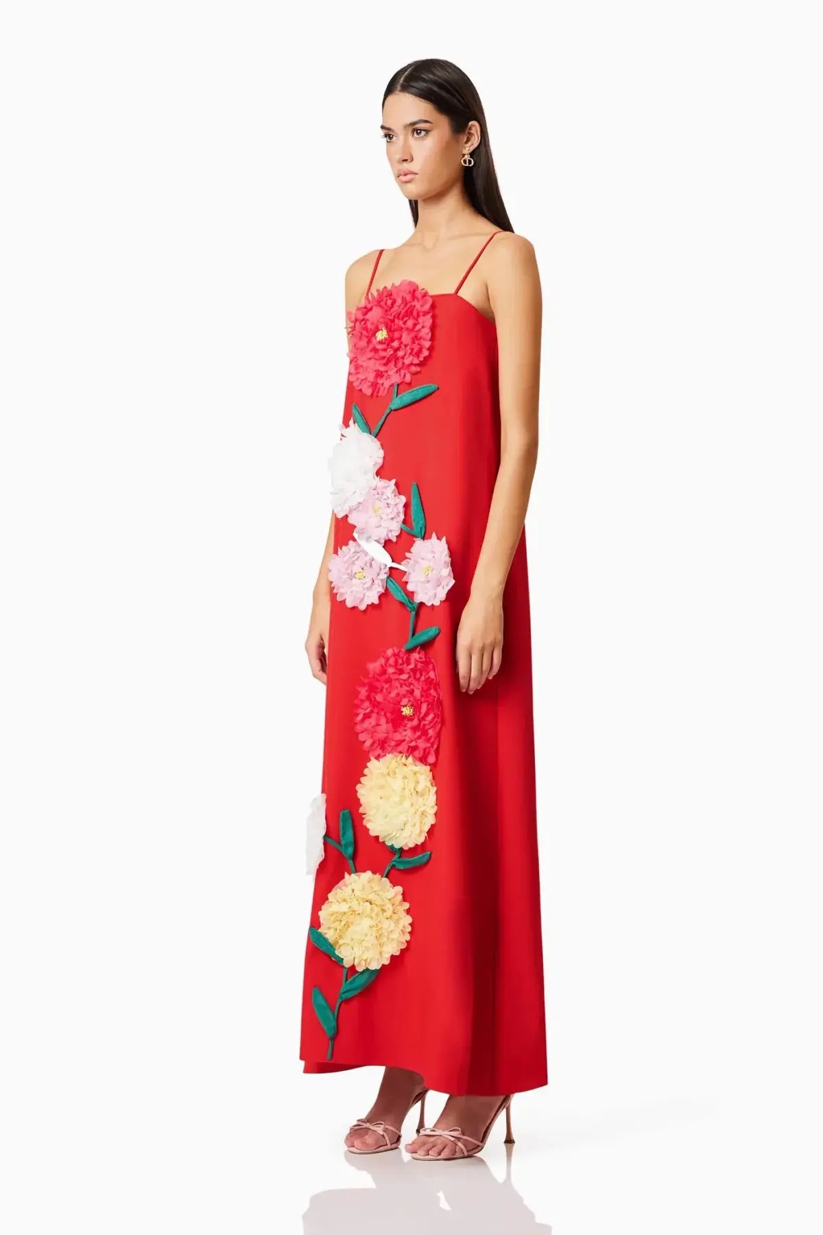 Buttercup Embroidered Maxi Dress In Red photo 4
