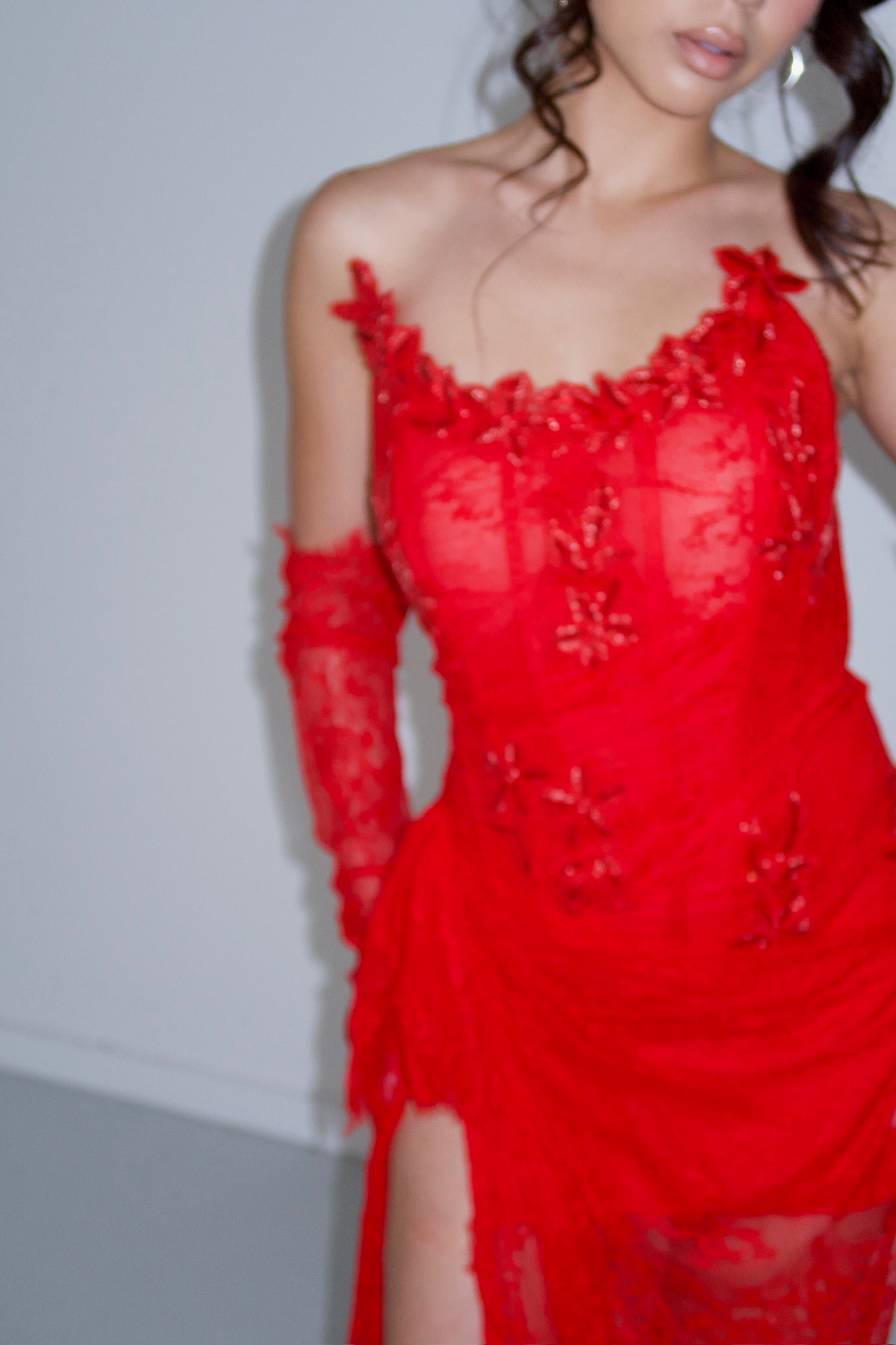 ROUGE RED photo 5