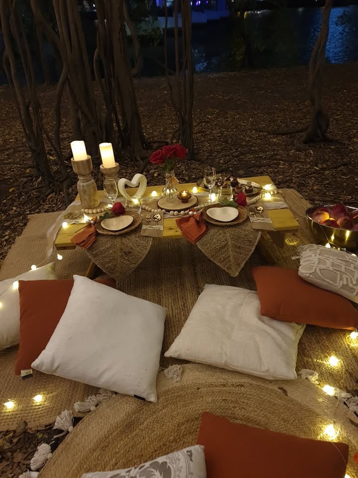 Picnic hire - Taringa photo 6