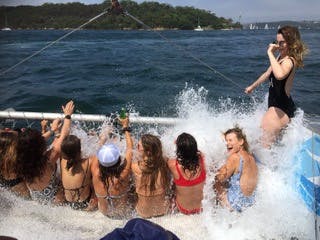OCEAN LIFE photo 6