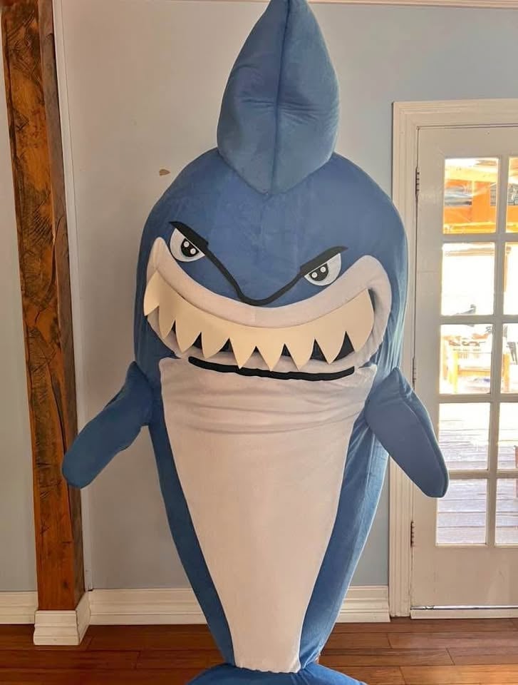 Mascot costumes for Hire/sale photo 5