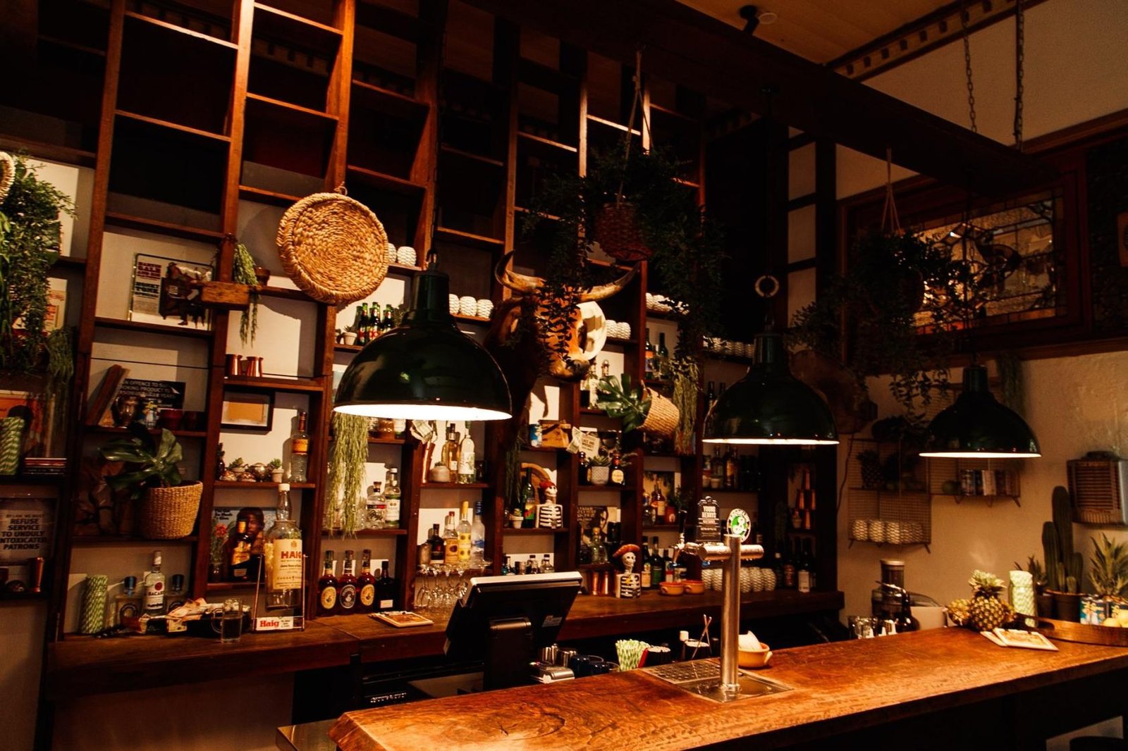 Cactus Bar at Lefty’s Music Hall photo 4