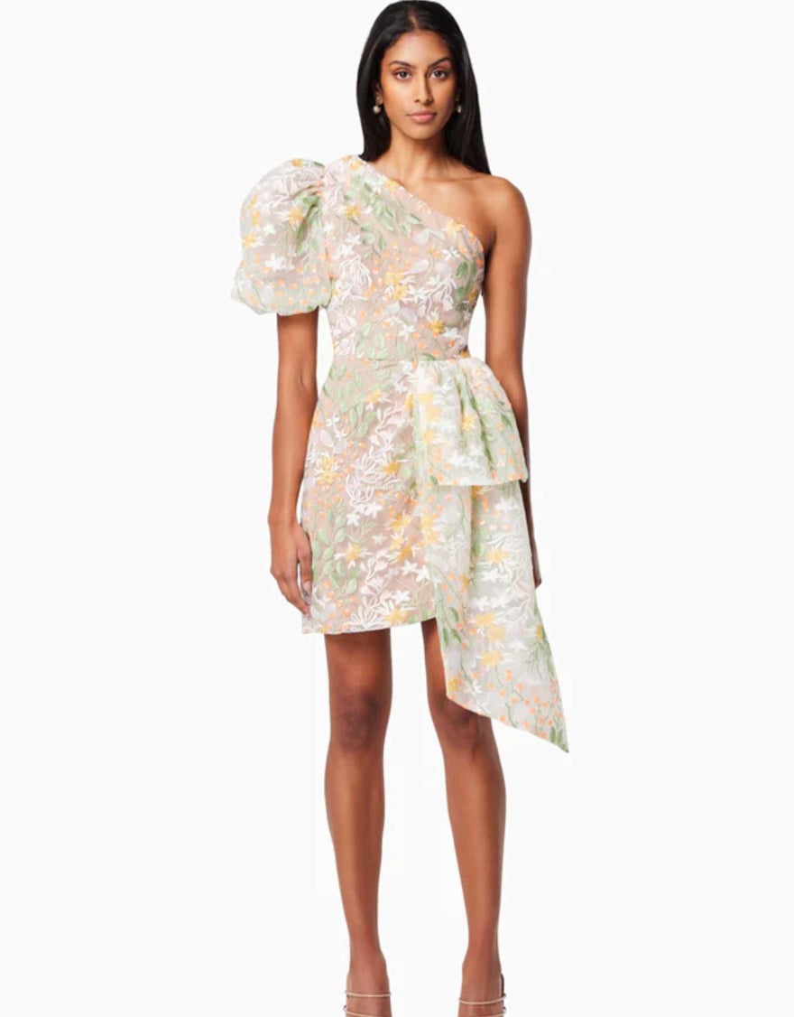 Elliatt Dome Asymmetrical Dress photo 4
