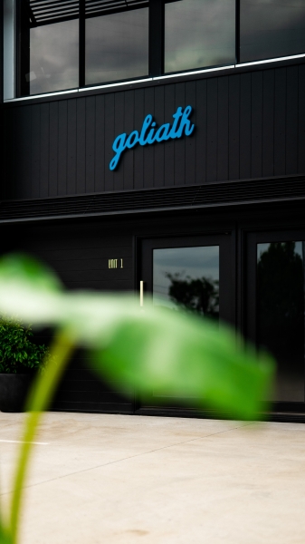 Goliath Studio photo 8