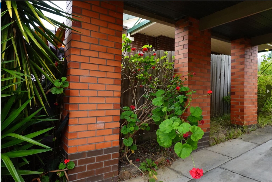 Neighborhood Oasis photo 3