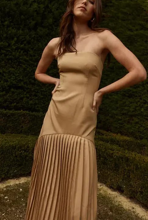 Bianca and Bridgett Mara Pleated Maxi Dress in Beige Gold Size 8 photo 5