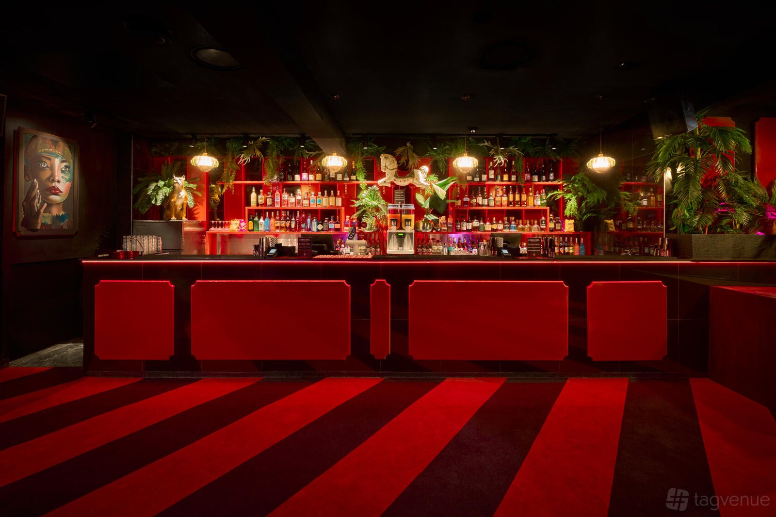 Club Room & Main Bar at Carousel Bar & Ballroom photo 2