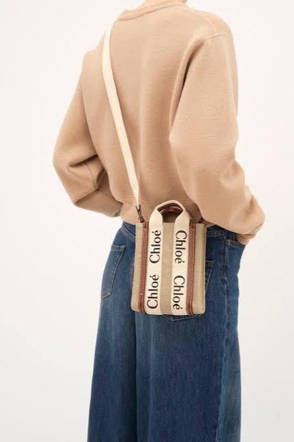 Chloe Mini Woody North South Tote Bag, Linen photo 3