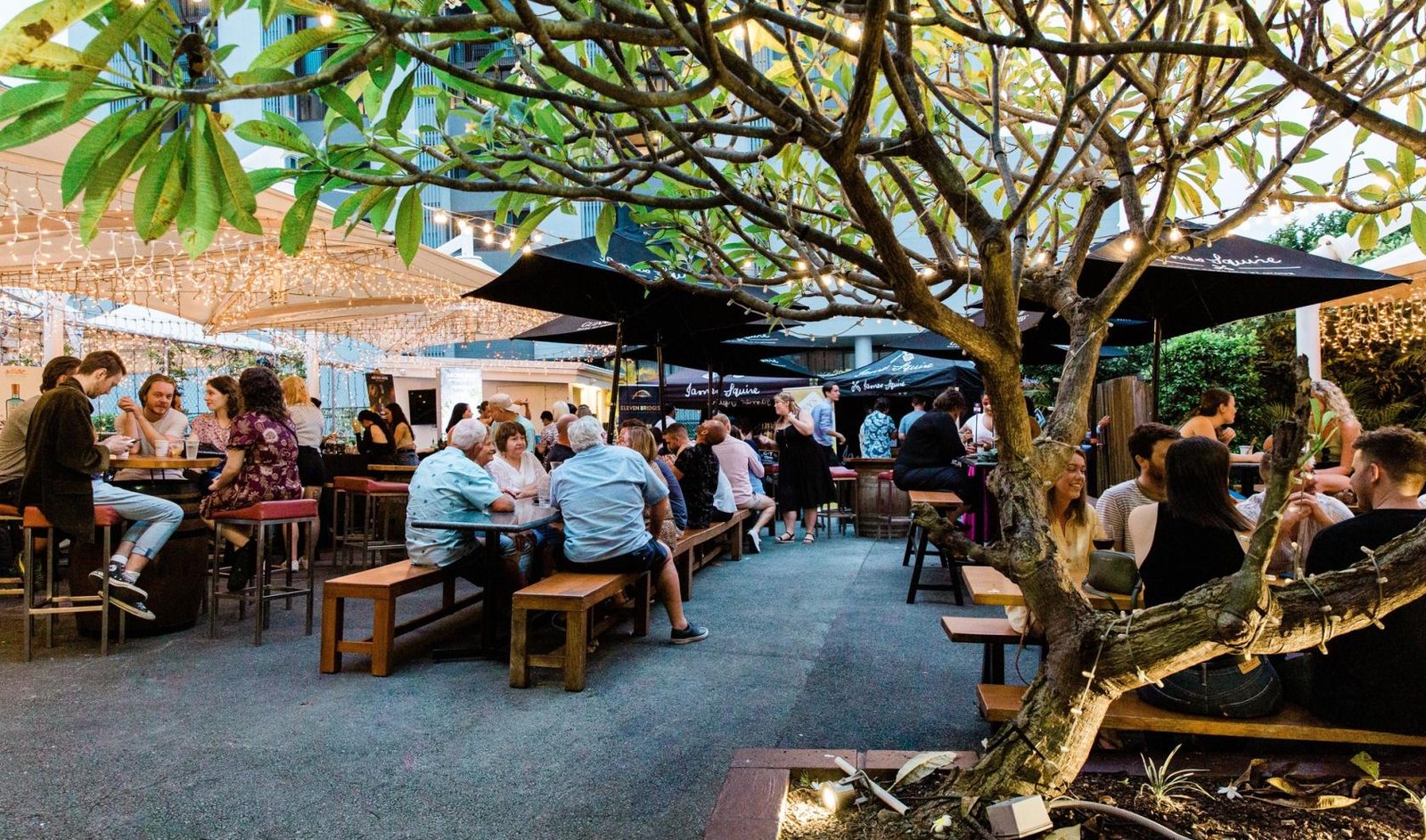 The Beer Garden at Pig ‘N’ Whistle - Brunswick Street photo 8