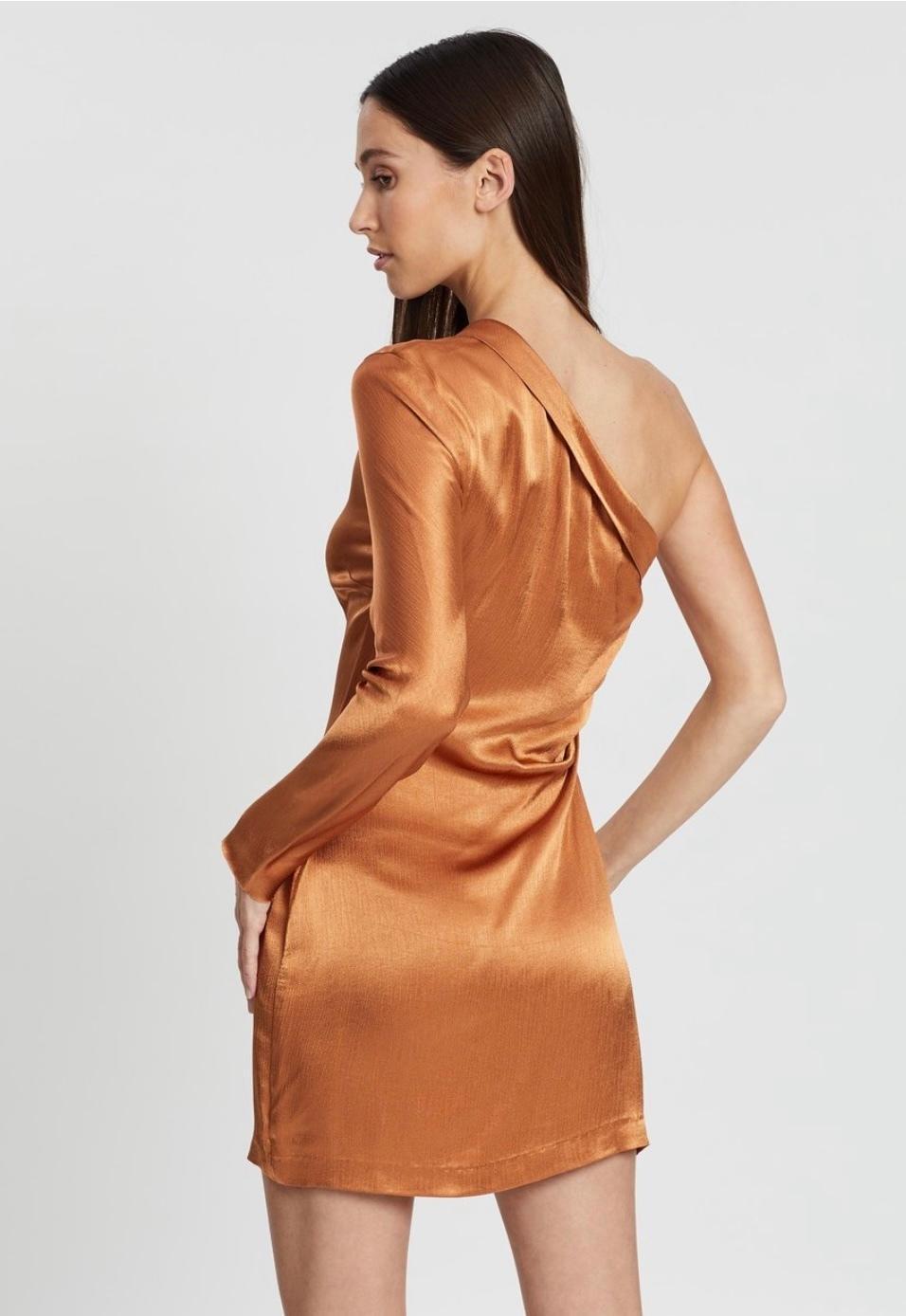 Lani mini dress photo 2