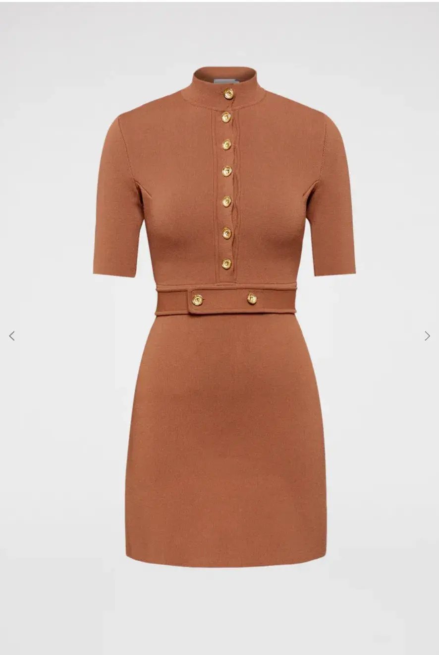 Scanlan Theodore Crepe Knit Mini Button Dress Hazel Brown Size 6 photo 3