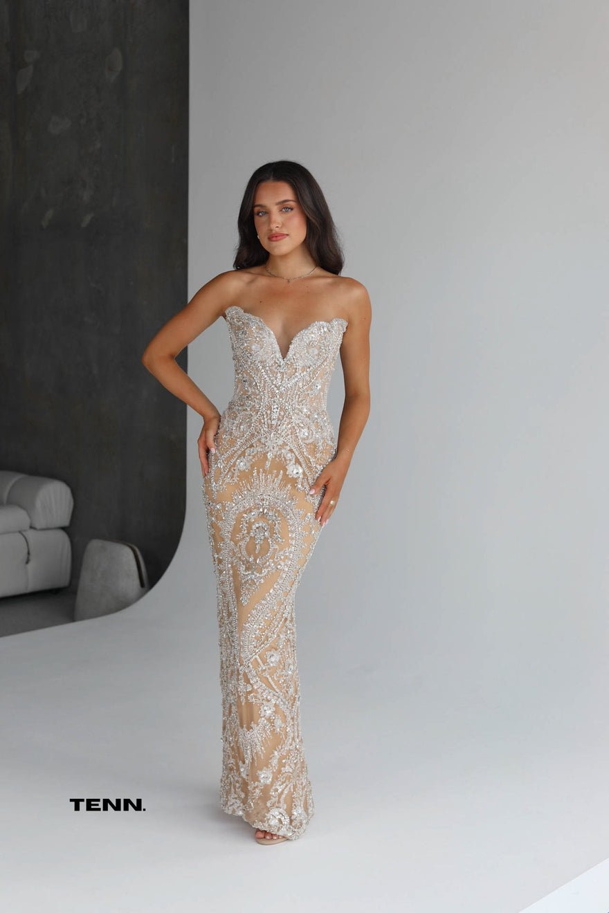 Albina Dyla Treasure Gown (Corset Silver Dress) photo 2