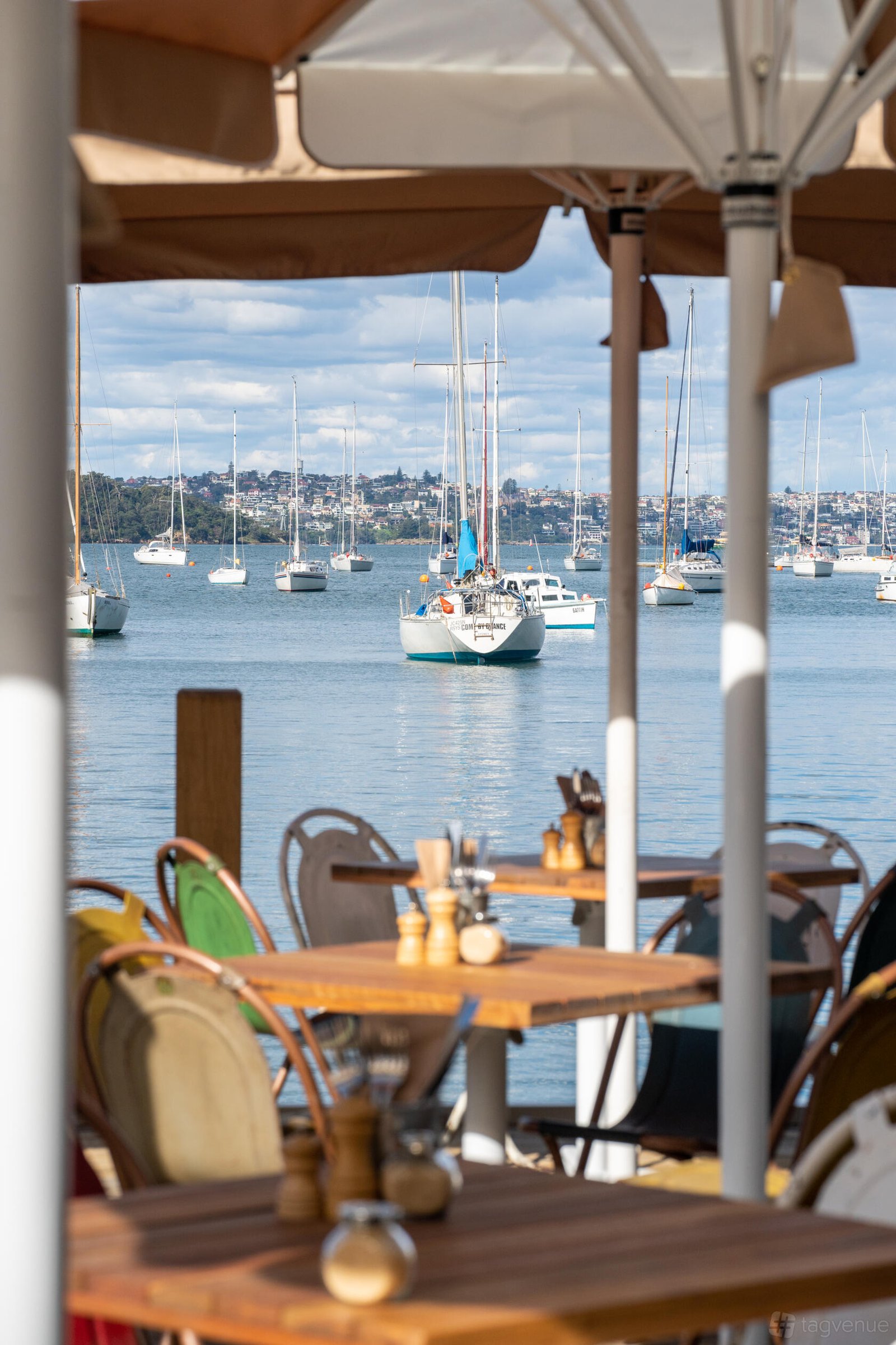 Flying Bear Deck at Foys Kirribilli photo 6