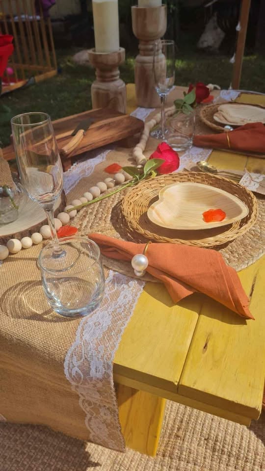 Picnic hire- Taringa photo 8