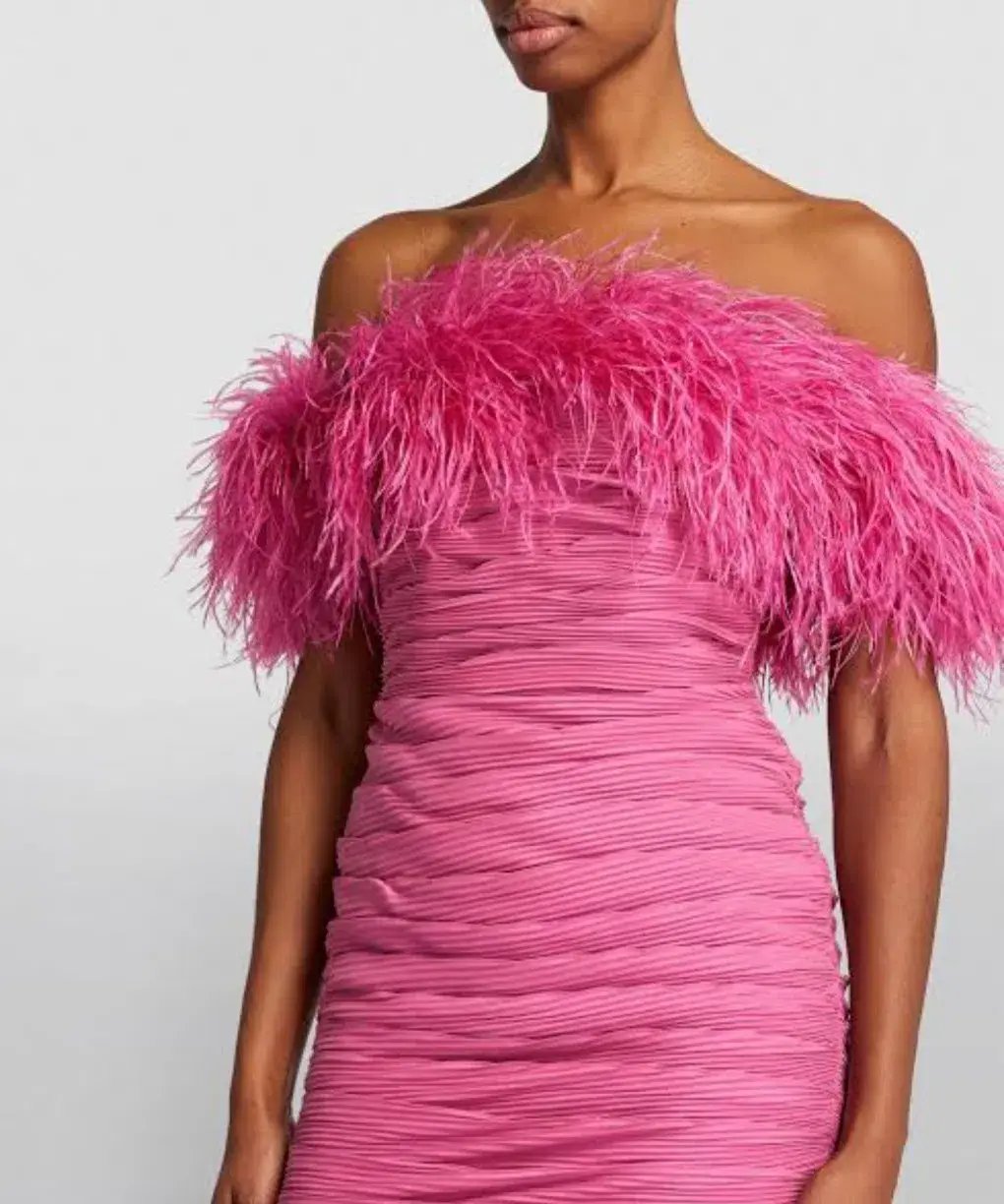 Rachel Gilbert Zion Mini Dress Pink 3/AU12 photo 4