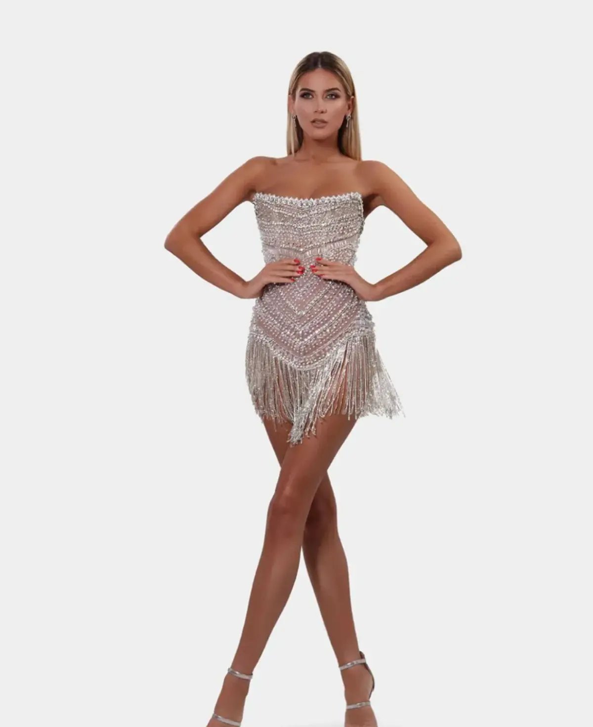 Albina Dyla Wild Corset Short Dress Silver/Nude Size 6 photo 3