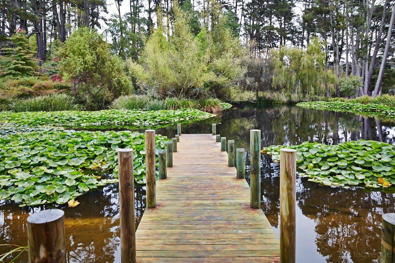 Lakeside at Parklands Country Garden & Lodges photo 2