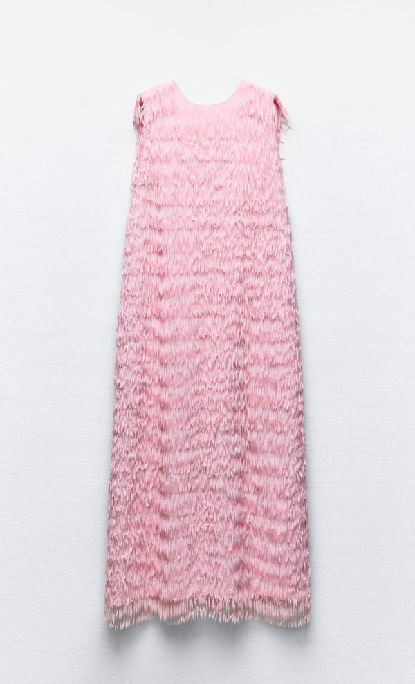 Zara Midi Fringe Dress photo 2