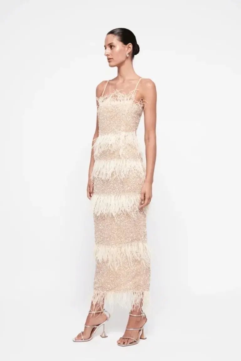 Rachel Gilbert Frenchy Dress Nude Size 5/AU16 photo 3