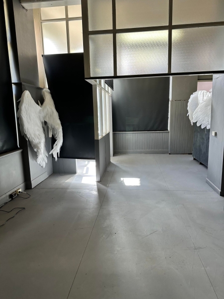 Launceston Photography Studio photo 3