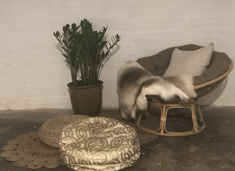 Wyldling Creative Warehouse photo 8