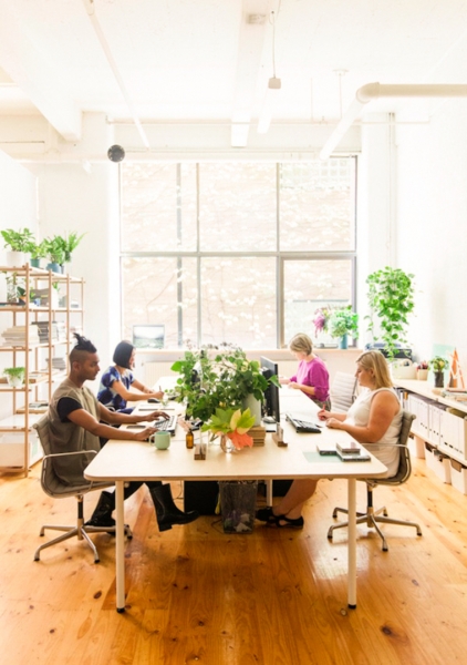 Collingwood Co-Working Studio for Creative People photo 4
