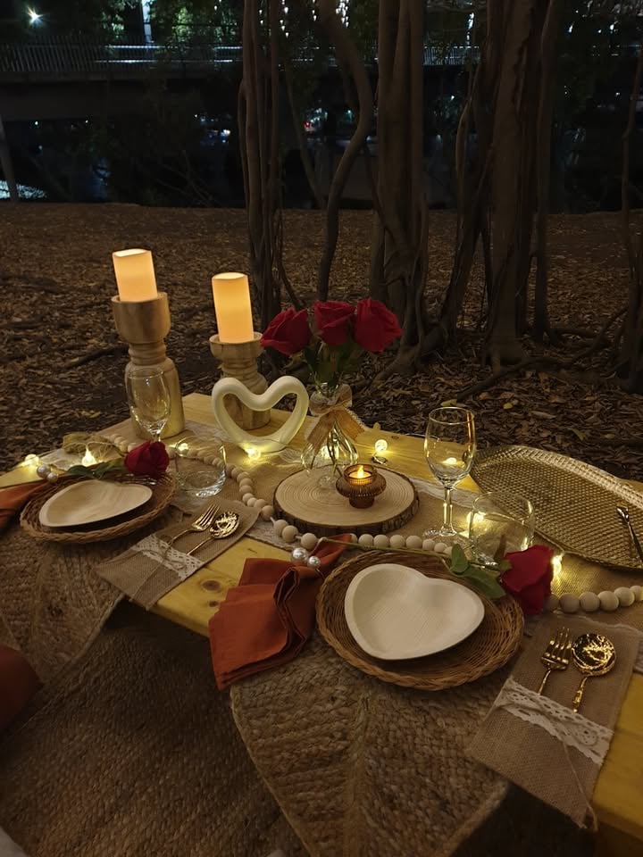 Picnic hire - Taringa photo 5