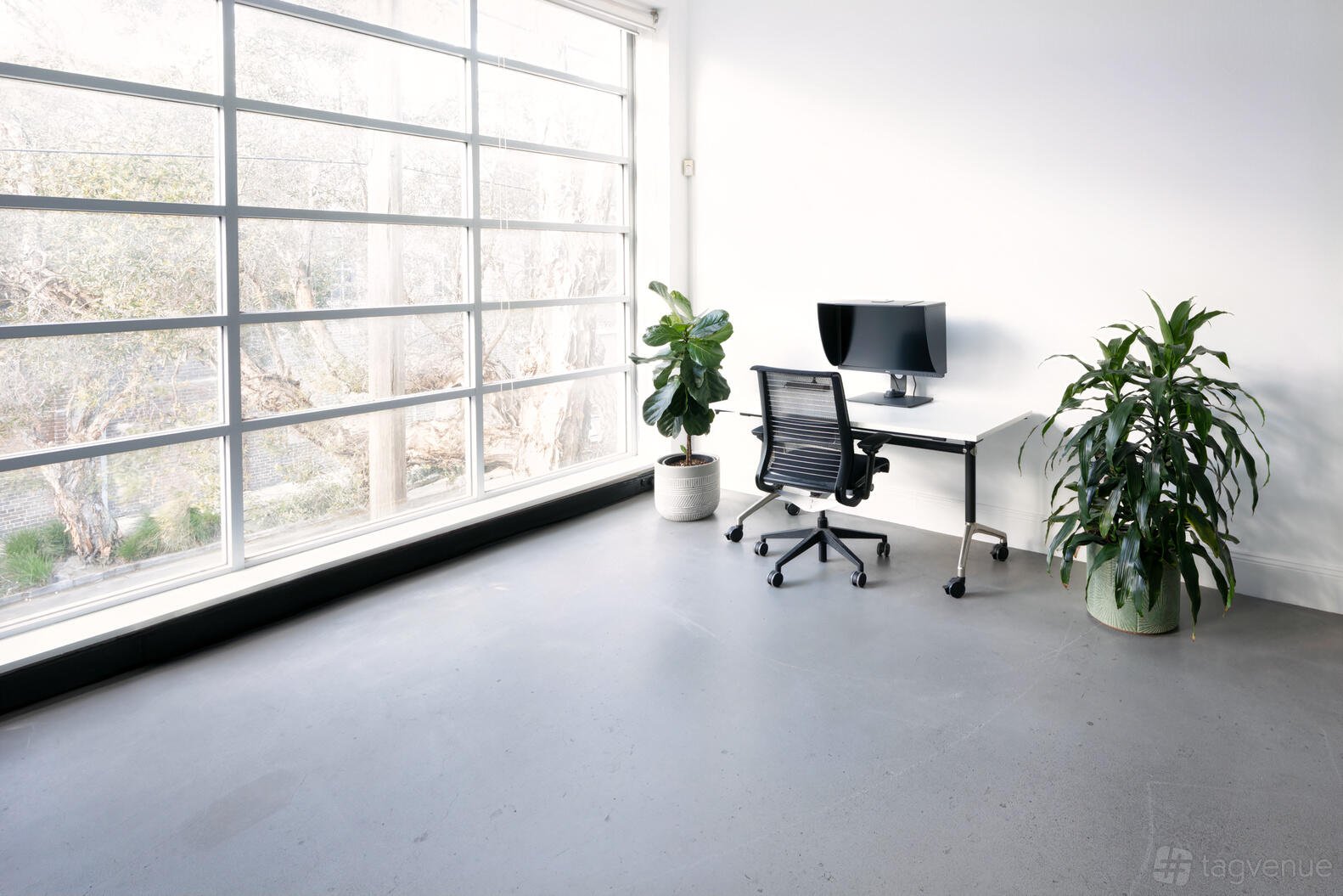 Photo Studio at Wave Particle photo 2