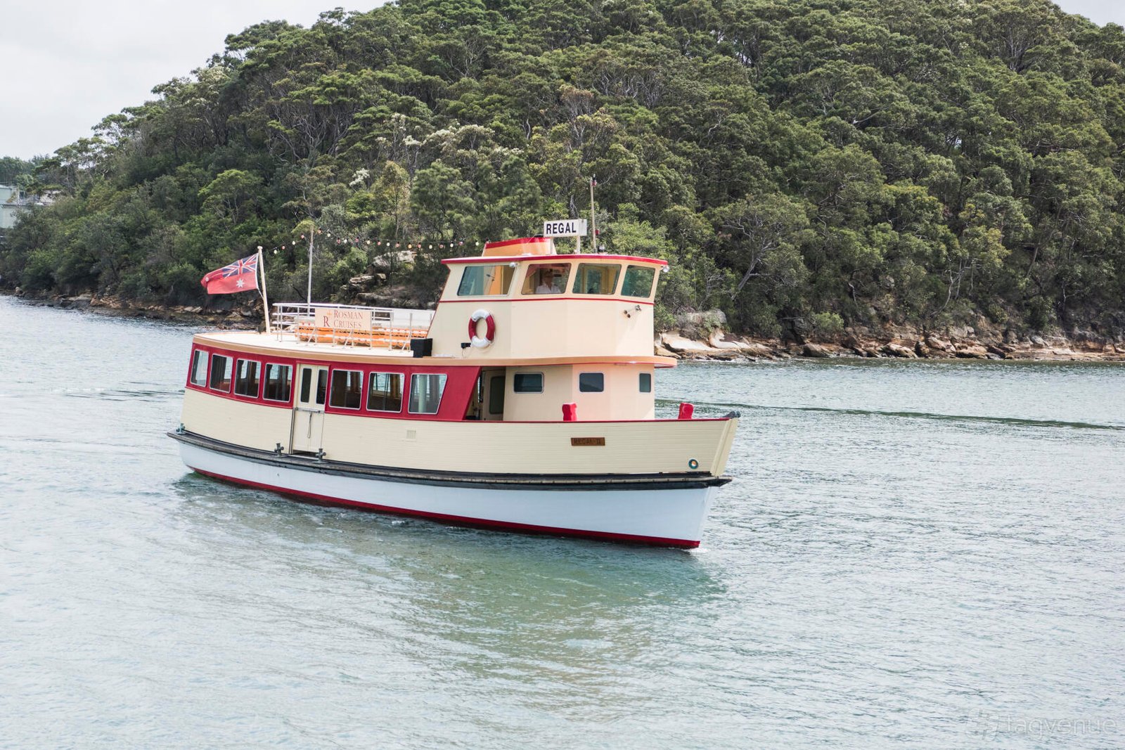 Regal II at Rosman Cruises photo 10