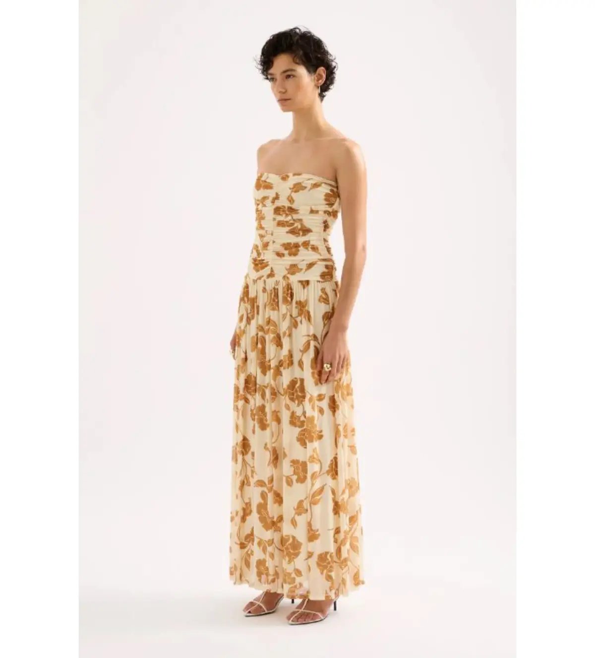 Nude Lucy Roshanne Mesh Maxi Dress Cream Floral Size XS / AU 6 photo 2