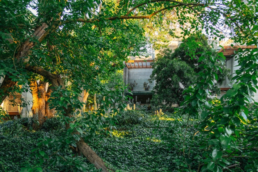 Heide Museum of Modern Art - Gardens photo 4