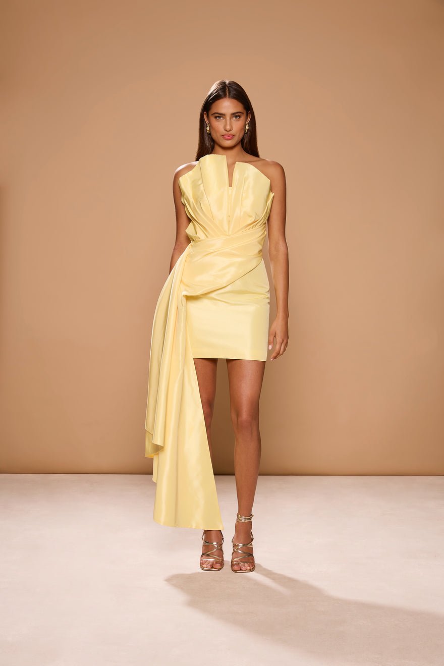 Sonya Jacques Mini Dress - Yellow photo 4