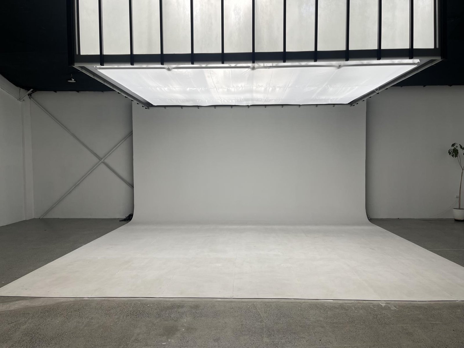 Entire Studio at The Vita Nova photo 9