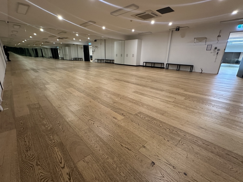 La Fiesta Dance Factory - Room 8 photo 2
