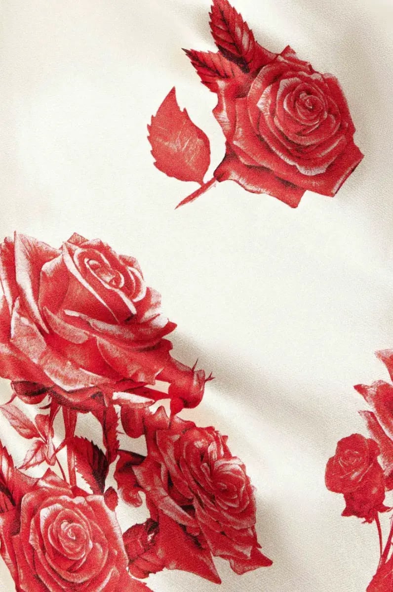 Meshki Rosalie Maxi Dress White & Red Rose Print Size S / AU 8 photo 6
