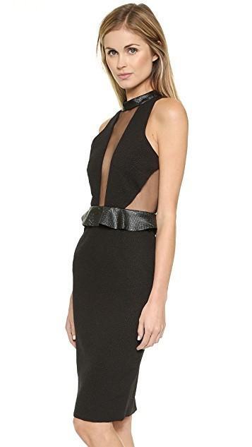 Shakuhachi Sheer Panel Dress Size 10 photo 2