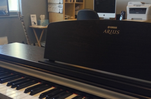 Echidna Audio Sound Isolation Studio photo 7
