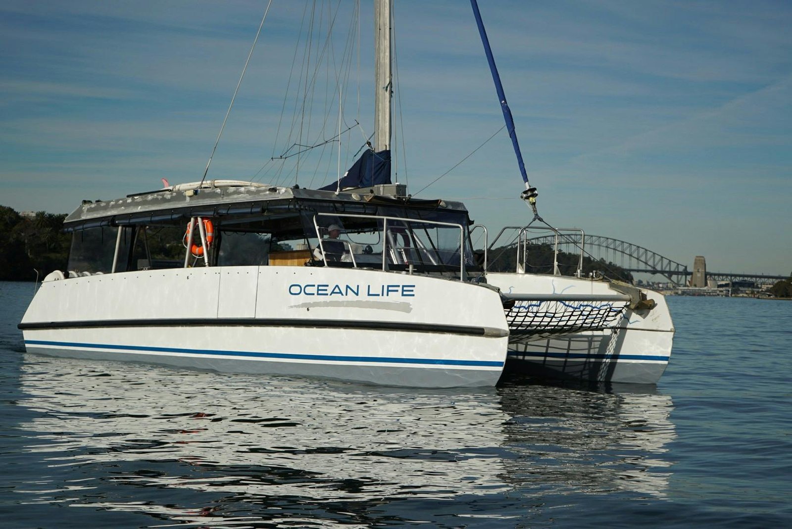 OCEAN LIFE photo 11