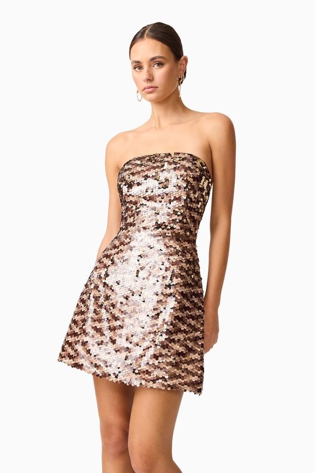 Elliatt Noemi Mini Dress - Coco photo 4