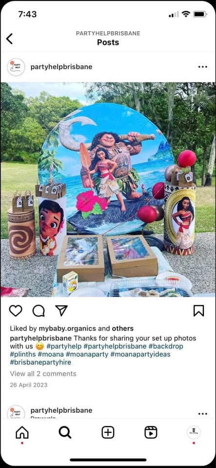 Moana theme for hire at $150 photo 8