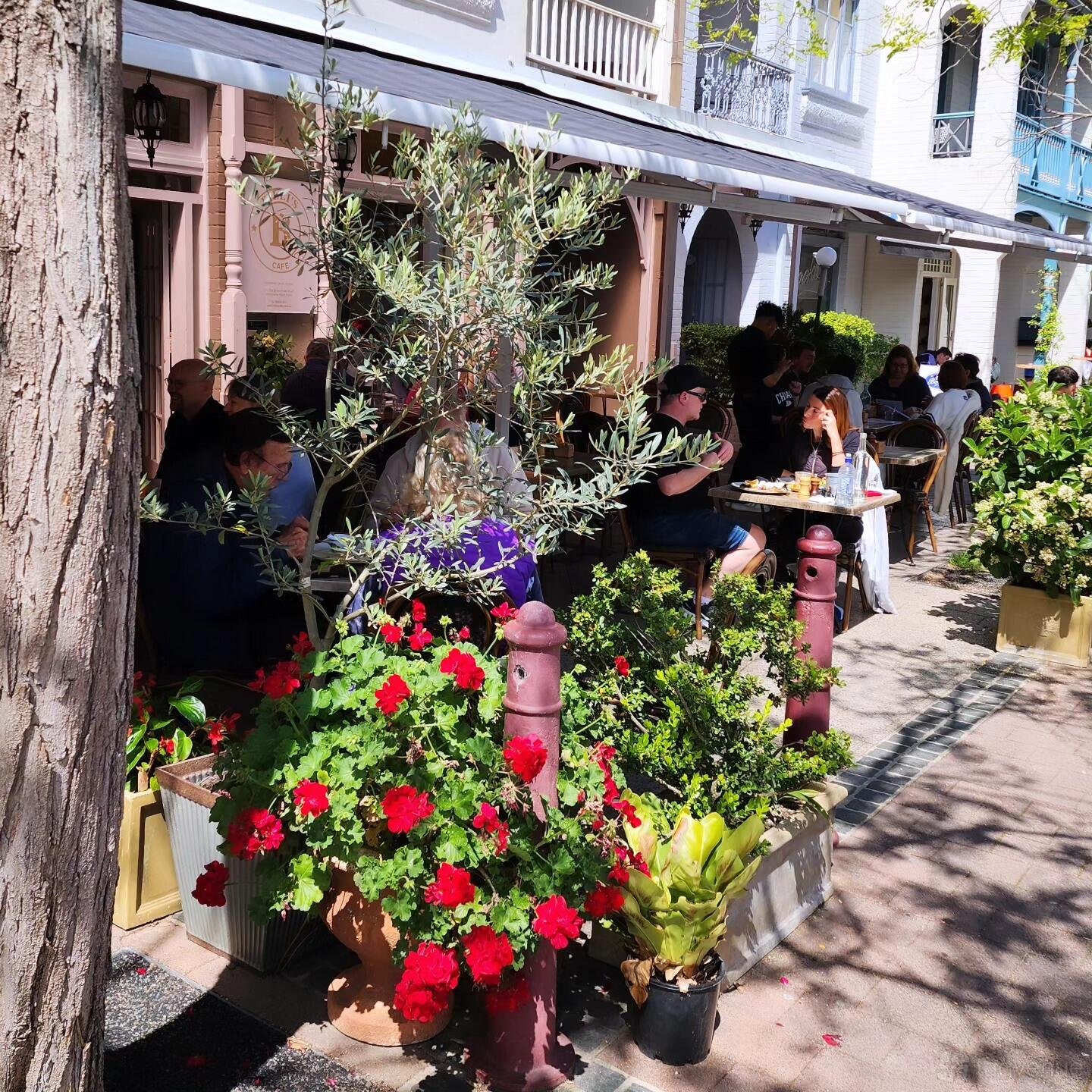 Patio at Billi's Cafe photo 10