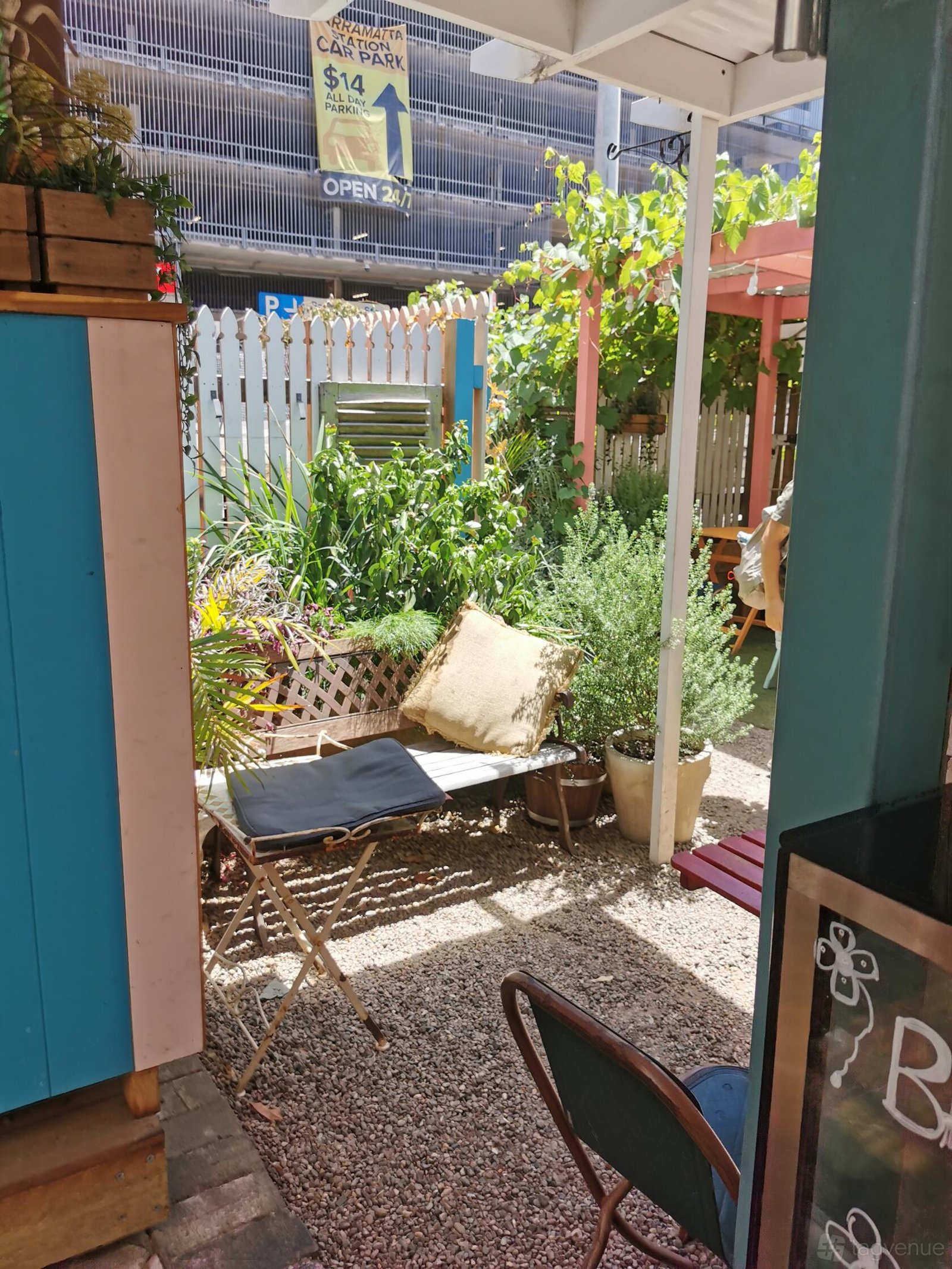Garden at Lil Miss Collins Café Parramatta photo 11