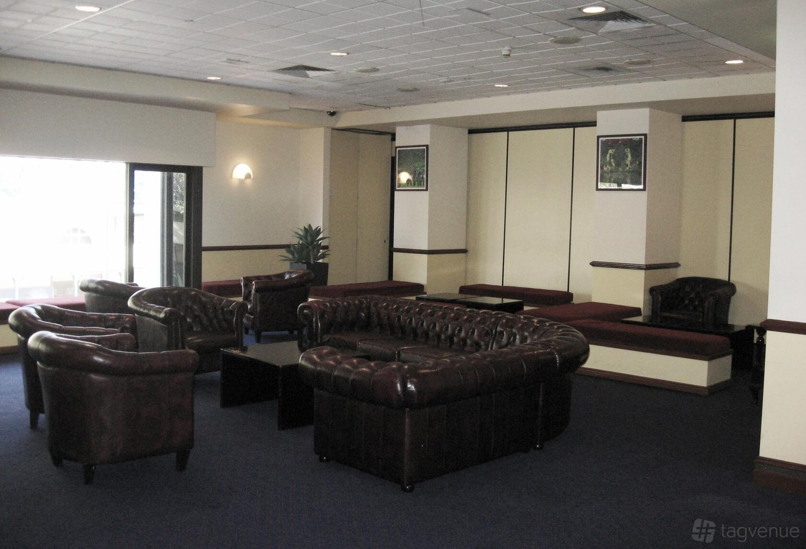 The Cocktail Lounge at Paddo RSL photo 2